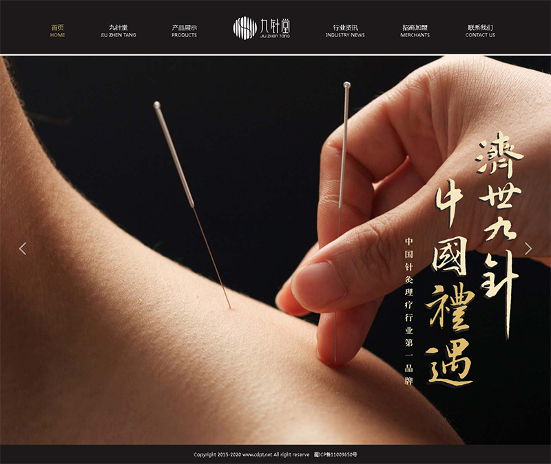 賀：廣州真翼好醫療科技有限公司網站制作完成上線！