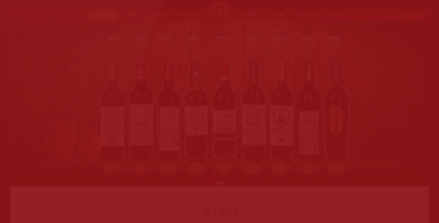 河南金裝貿易有限公司